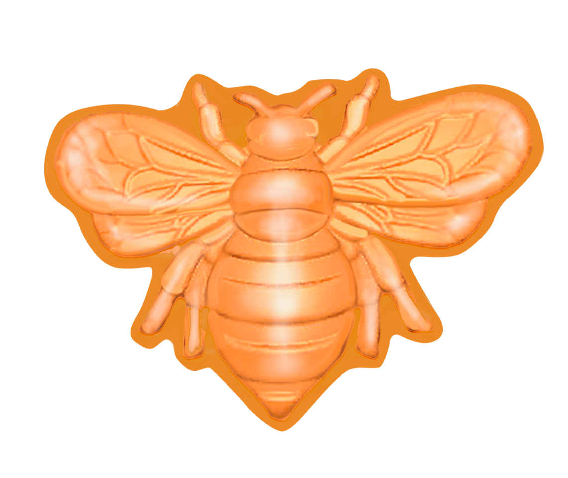 Manuka Honey Gummi Bees - Orange